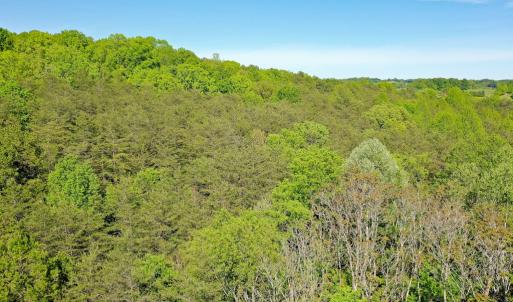 Photo #13 of Old Well Road, Spencer, VA 47.7 acres