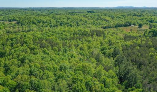 Photo #14 of Old Well Road, Spencer, VA 47.7 acres