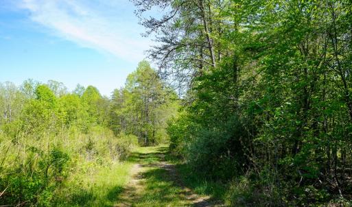 Photo #15 of Old Well Road, Spencer, VA 47.7 acres