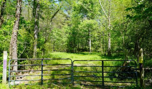 Photo #17 of Old Well Road, Spencer, VA 47.7 acres