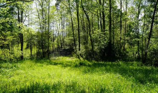 Photo #18 of Old Well Road, Spencer, VA 47.7 acres