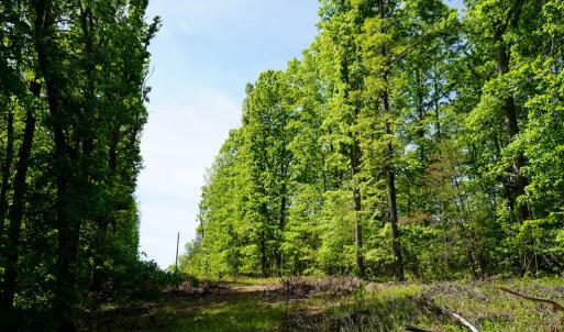 Photo #20 of Old Well Road, Spencer, VA 47.7 acres