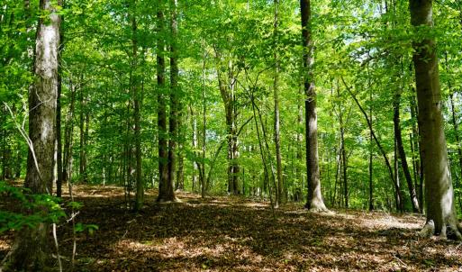 Photo #22 of Old Well Road, Spencer, VA 47.7 acres