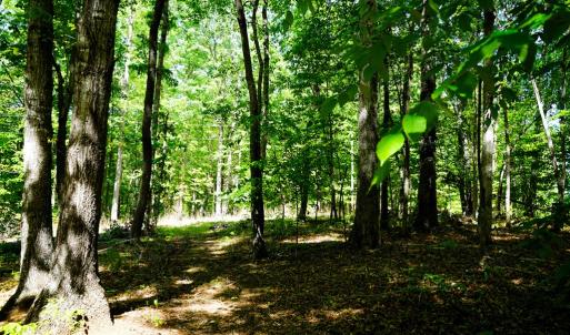 Photo #23 of Old Well Road, Spencer, VA 47.7 acres