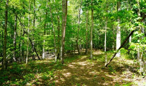 Photo #24 of Old Well Road, Spencer, VA 47.7 acres