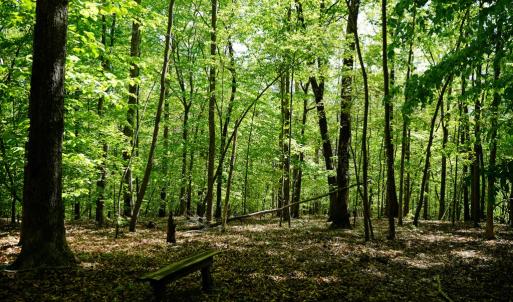 Photo #25 of Old Well Road, Spencer, VA 47.7 acres