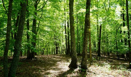 Photo #27 of Old Well Road, Spencer, VA 47.7 acres