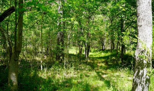 Photo #29 of Old Well Road, Spencer, VA 47.7 acres