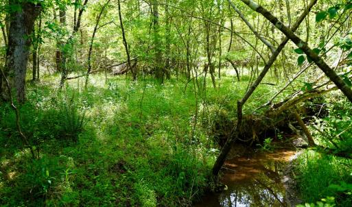 Photo #30 of Old Well Road, Spencer, VA 47.7 acres