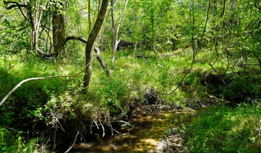 Photo #31 of Old Well Road, Spencer, VA 47.7 acres