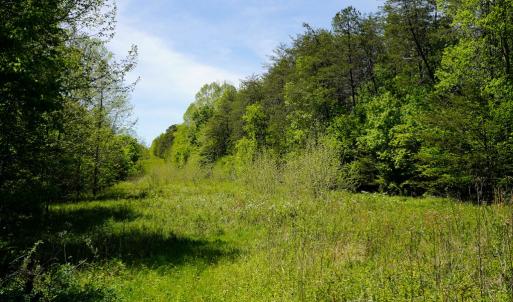 Photo #32 of Old Well Road, Spencer, VA 47.7 acres
