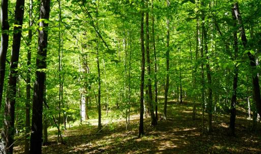 Photo #33 of Old Well Road, Spencer, VA 47.7 acres