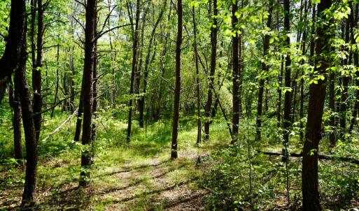 Photo #36 of Old Well Road, Spencer, VA 47.7 acres