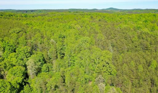 Photo #5 of Old Well Road, Spencer, VA 47.7 acres