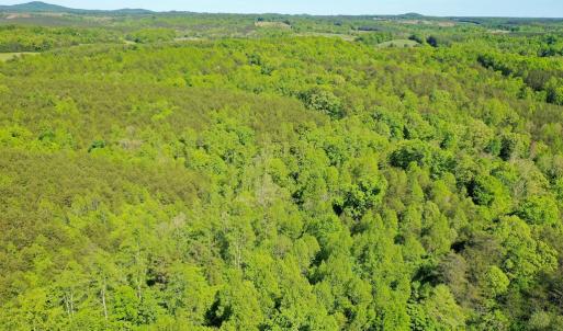Photo #6 of Old Well Road, Spencer, VA 47.7 acres
