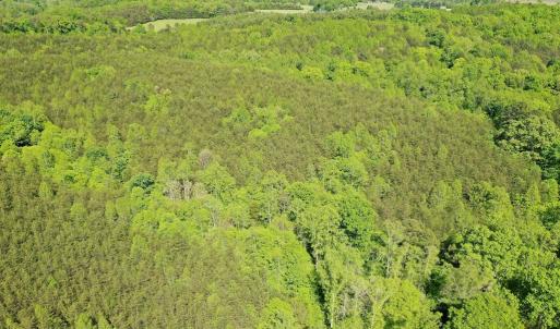 Photo #7 of Old Well Road, Spencer, VA 47.7 acres