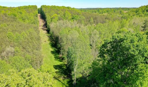 Photo #8 of Old Well Road, Spencer, VA 47.7 acres