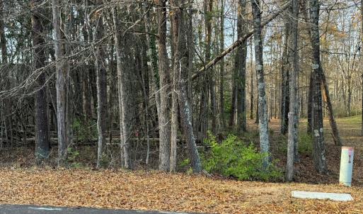 Photo #4 of Creekwood Trail, Farmville, VA 1.9 acres