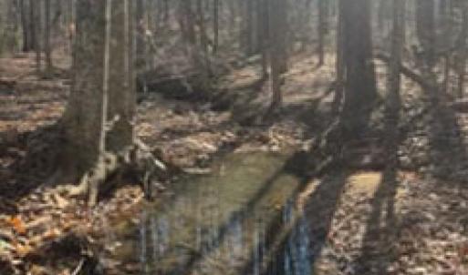 Photo #2 of 626 Holiday Lake Road, Pamplin, VA 5.0 acres