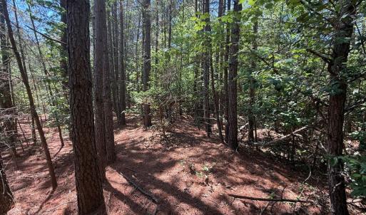 Mix Woods throughout the Property