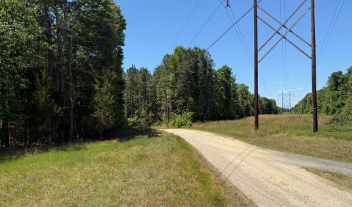 Main Roadway through the Property