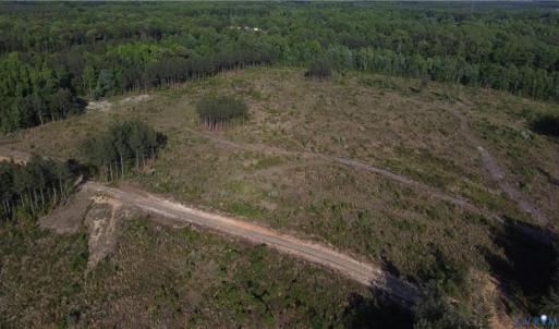 Photo #10 of Prince Edward Hwy, Rice, VA 63.0 acres