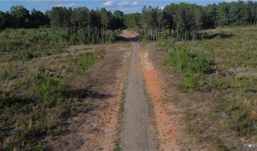 Photo #11 of Prince Edward Hwy, Rice, VA 63.0 acres