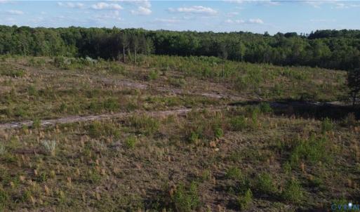 Photo #14 of Prince Edward Hwy, Rice, VA 63.0 acres