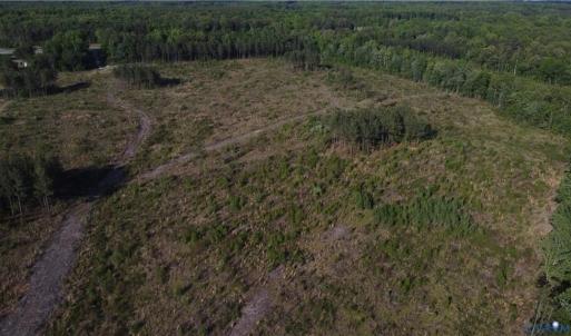 Photo #15 of Prince Edward Hwy, Rice, VA 63.0 acres