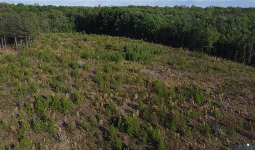 Photo #16 of Prince Edward Hwy, Rice, VA 63.0 acres
