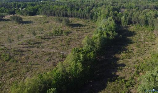 Photo #17 of Prince Edward Hwy, Rice, VA 63.0 acres