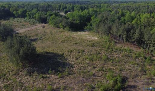 Photo #18 of Prince Edward Hwy, Rice, VA 63.0 acres