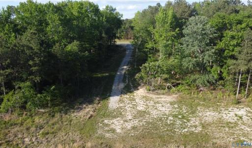 Photo #19 of Prince Edward Hwy, Rice, VA 63.0 acres