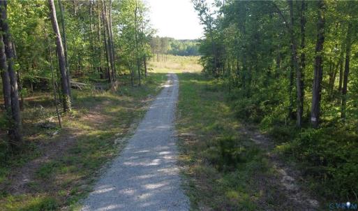 Photo #3 of Prince Edward Hwy, Rice, VA 63.0 acres