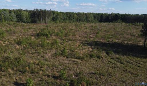 Photo #5 of Prince Edward Hwy, Rice, VA 63.0 acres