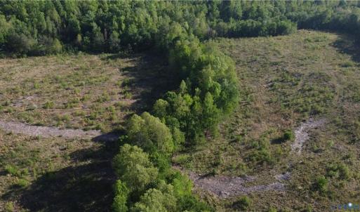 Photo #7 of Prince Edward Hwy, Rice, VA 63.0 acres