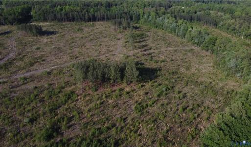Photo #8 of Prince Edward Hwy, Rice, VA 63.0 acres