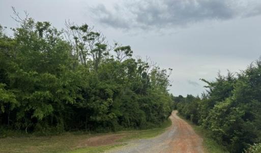 Photo #2 of 639 Millbank, Pamplin, VA 9.8 acres