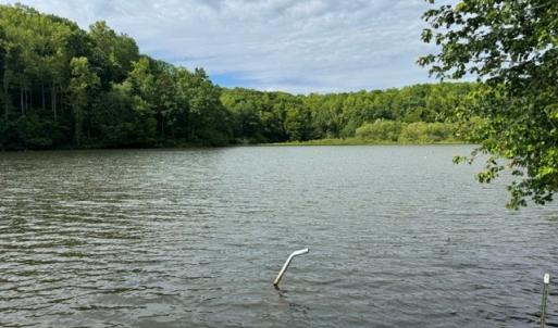 Photo #3 of 639 Millbank, Pamplin, VA 9.8 acres