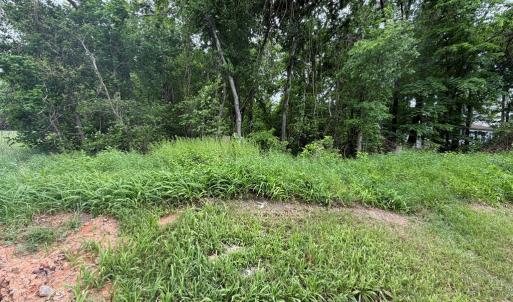 Photo #3 of North Virginia Street, Farmville, VA 0.2 acres
