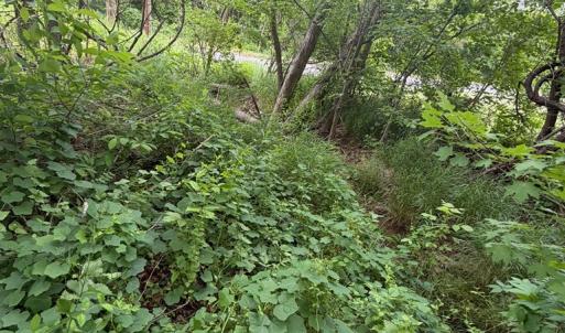 Photo #4 of North Virginia Street, Farmville, VA 0.2 acres