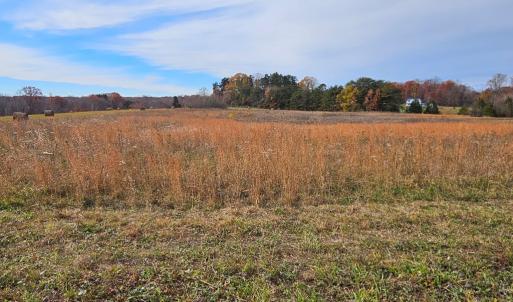 Photo #10 of 60 W James Anderson Hwy, Buckingham Court House, VA 5.3 acres