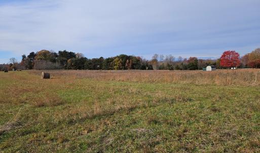 Photo #4 of 60 W James Anderson Hwy, Buckingham Court House, VA 5.3 acres