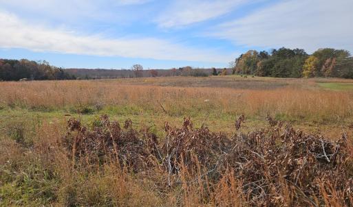 Photo #7 of 60 W James Anderson Hwy, Buckingham Court House, VA 5.3 acres