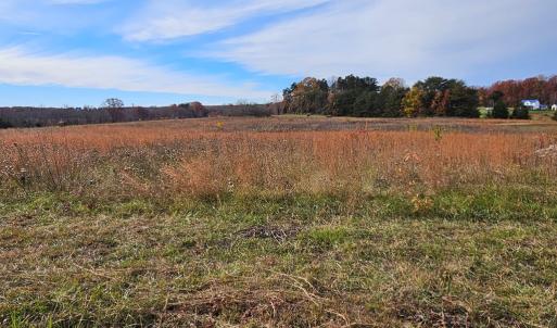 Photo #9 of 60 W James Anderson Hwy, Buckingham Court House, VA 5.3 acres