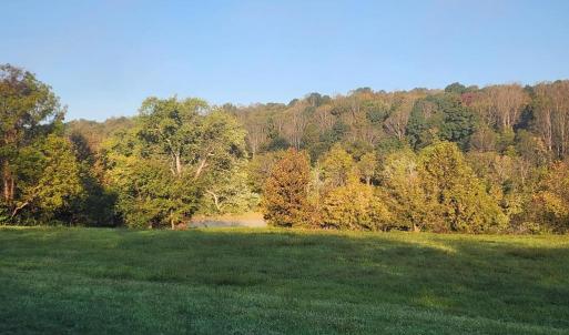 Photo #13 of River bottom Ln, Concord, VA 96.0 acres