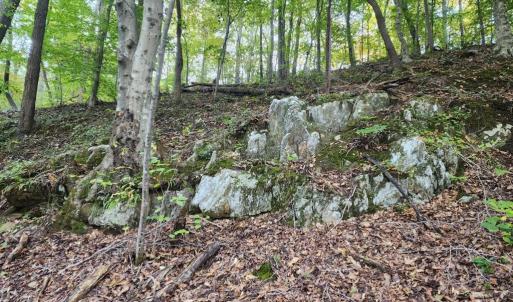 Photo #19 of River bottom Ln, Concord, VA 96.0 acres