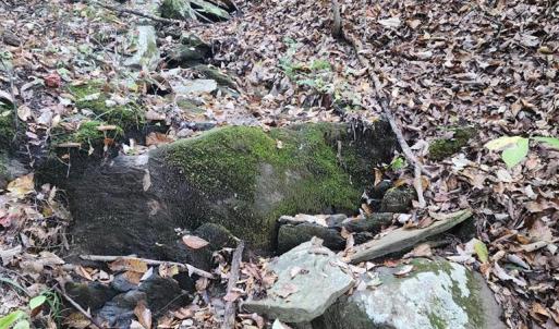 Photo #18 of River bottom Ln, Concord, VA 96.0 acres