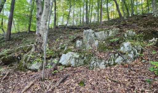 Photo #19 of River bottom Ln, Concord, VA 96.0 acres