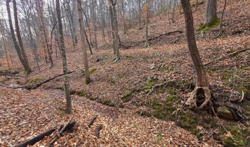 Photo #25 of River bottom Ln, Concord, VA 96.0 acres